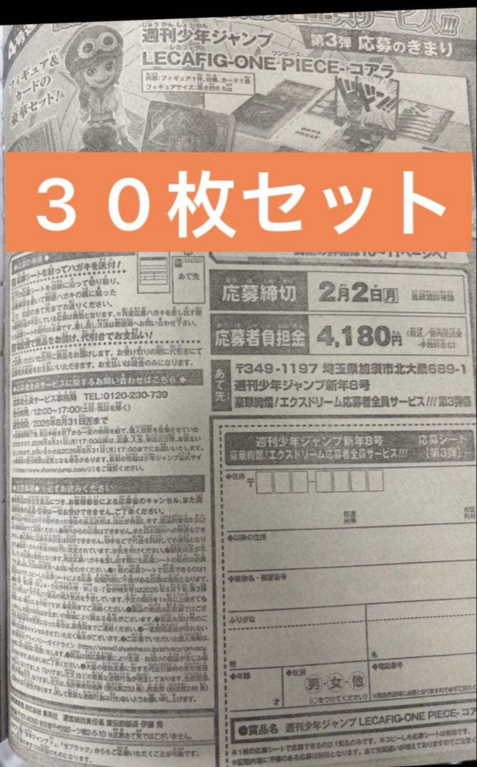 週刊少年ジャンプ2026年8号　応募券　30枚