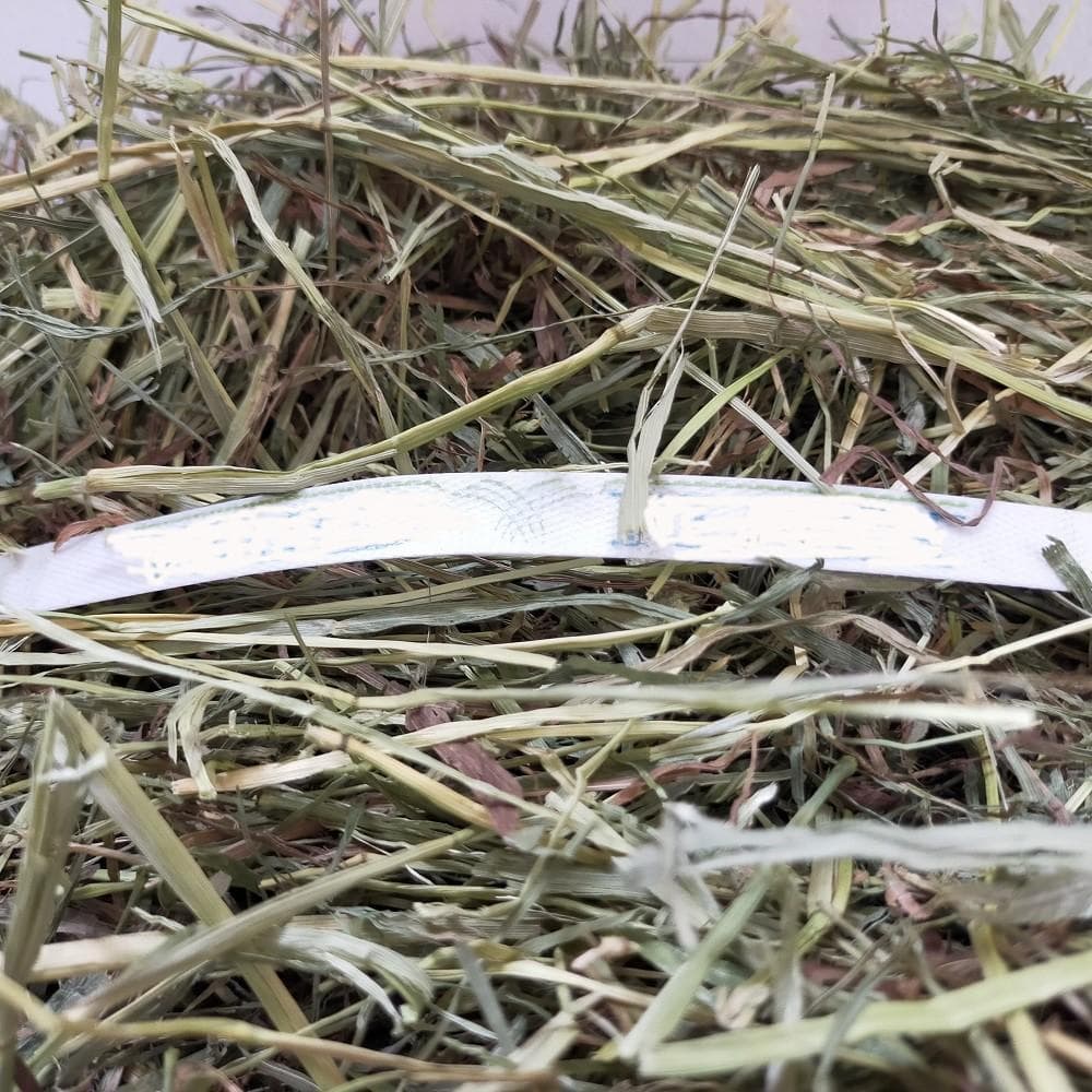 【処分価格】US産 チモシー 75kg ２番刈 ソフトSプレミアム