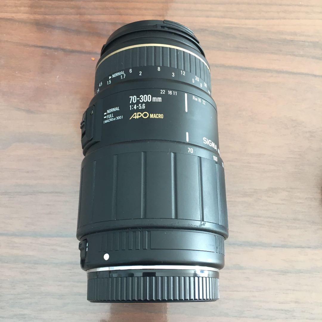 SIGMA 望遠レンズ