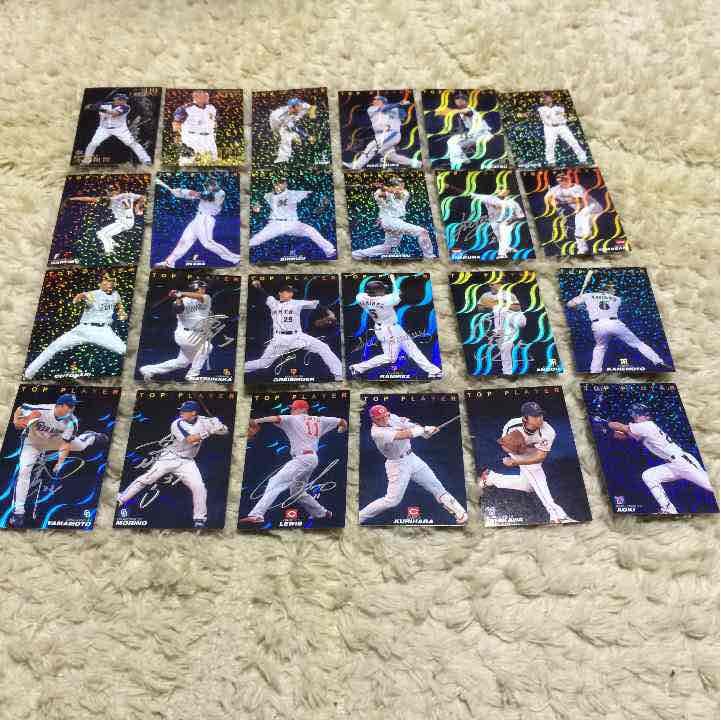 プロ野球チップス2009.2010年カードセット