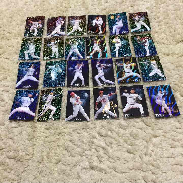 プロ野球チップス2009.2010年カードセット