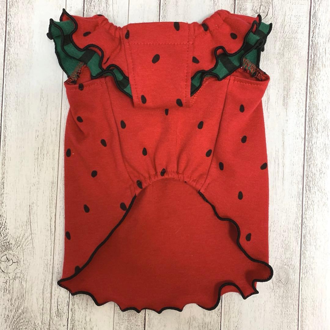 なりきりすいか2024すいかちゃんスモックワンピ/Sサイズ/犬服ハンドメイド