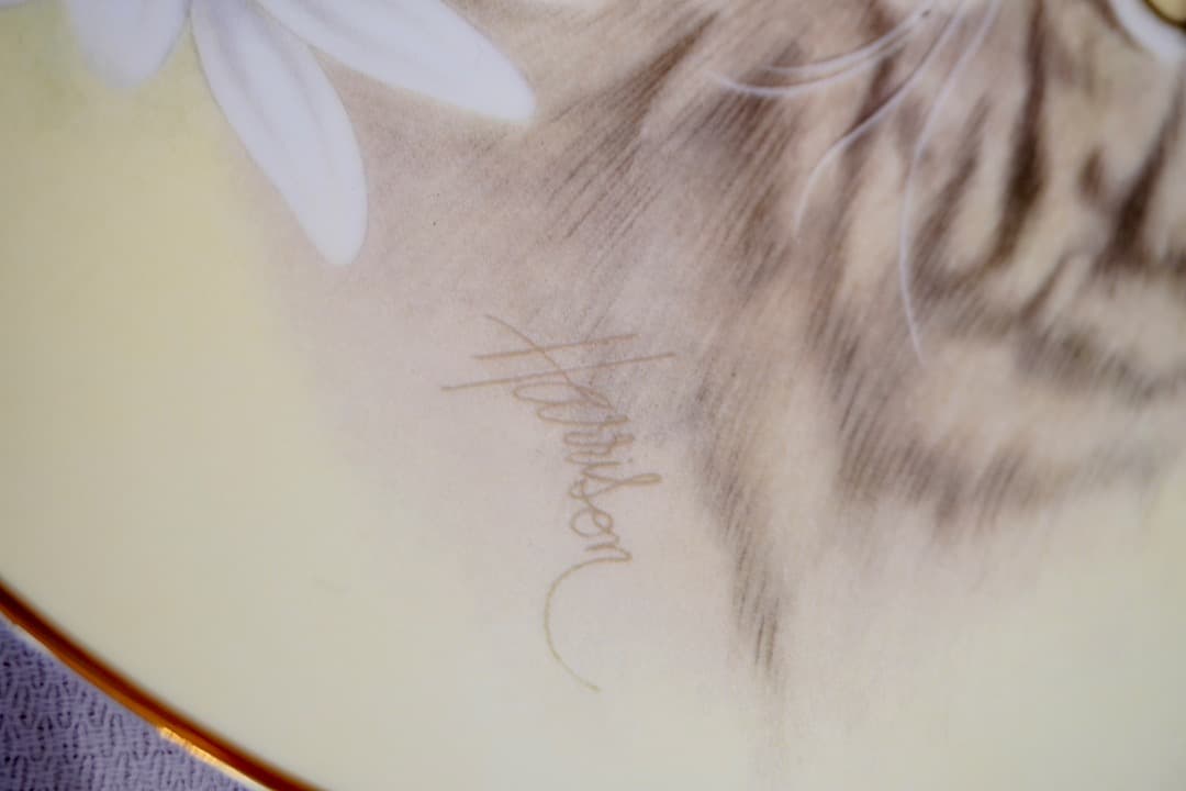 イギリス ヴィンテージ 猫 絵皿 3枚セット コレクションプレート