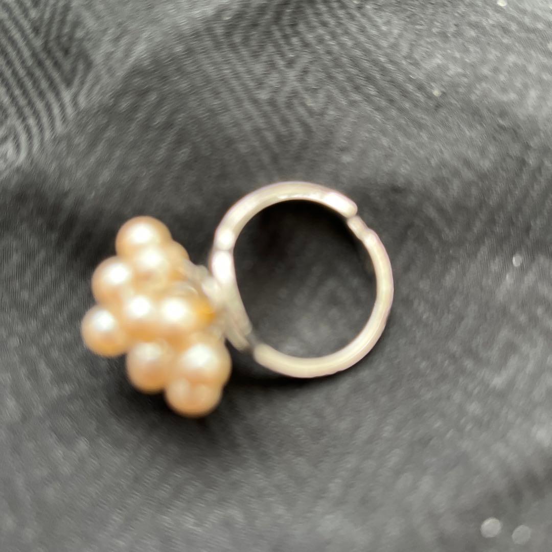 日本画　横22㎝、縦28.５㎝