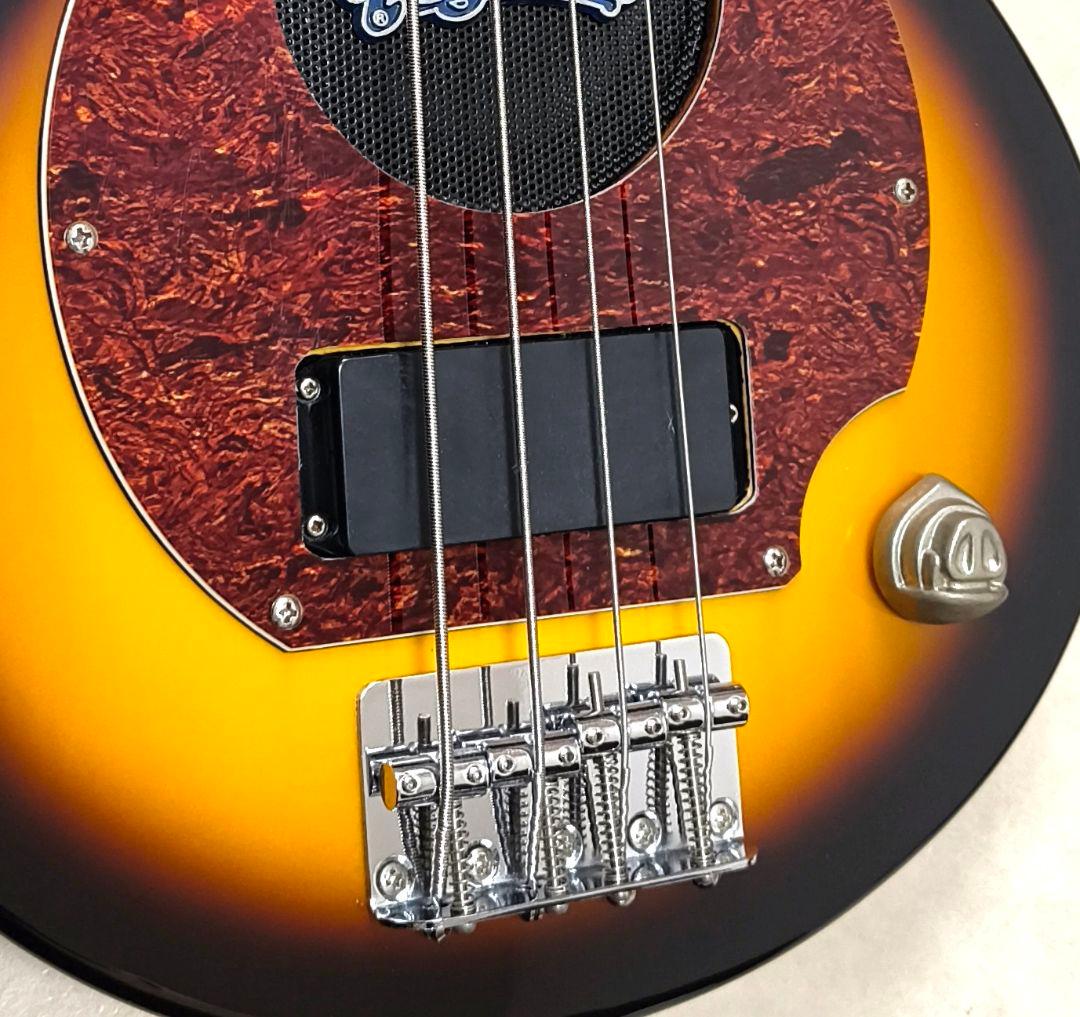 【超美品】PIGNOSE アンプ内蔵ミニベース BS 専用ケース付きピグノーズ