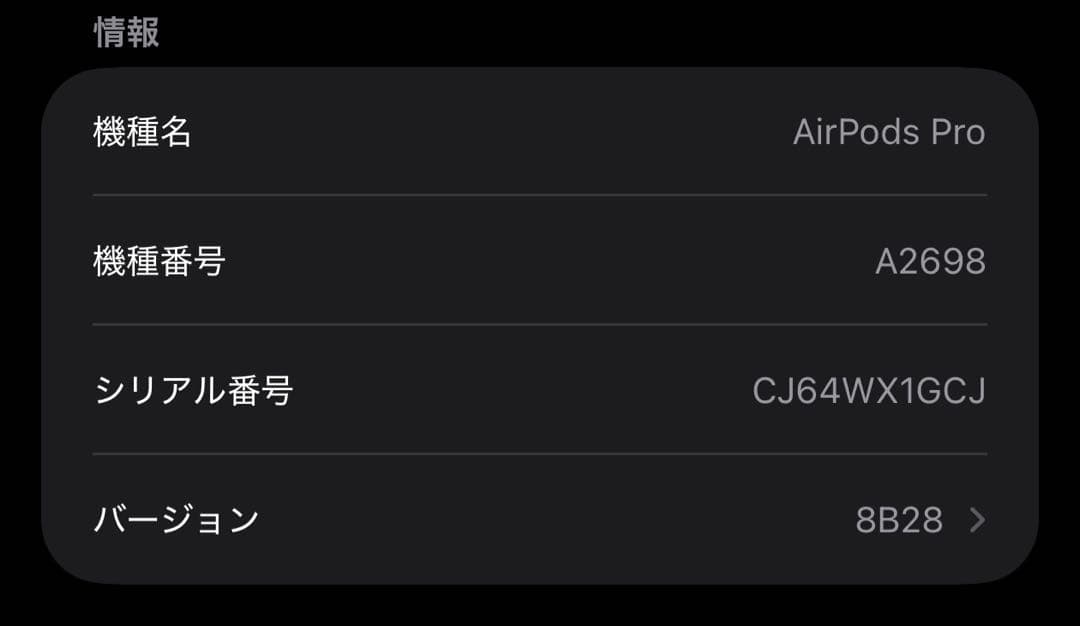 AirPods Pro 第二世代 A2698 Lightning 純正