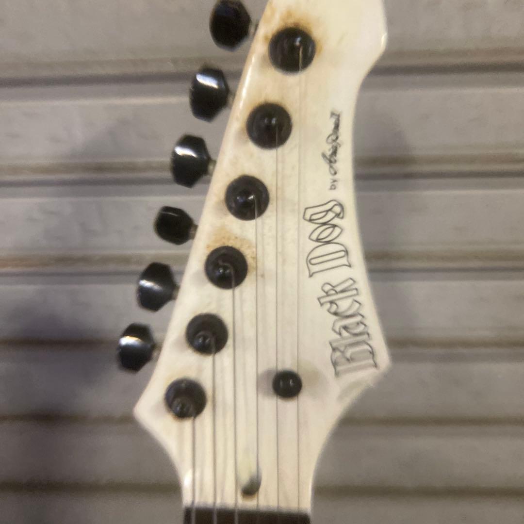 Black Dog by Aria Pro Ⅱ オフホワイト