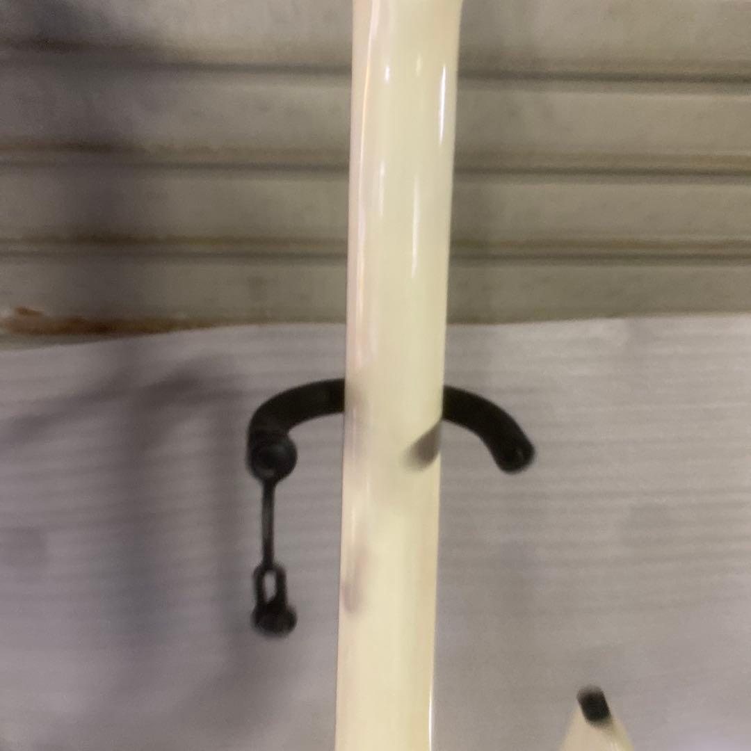 Black Dog by Aria Pro Ⅱ オフホワイト