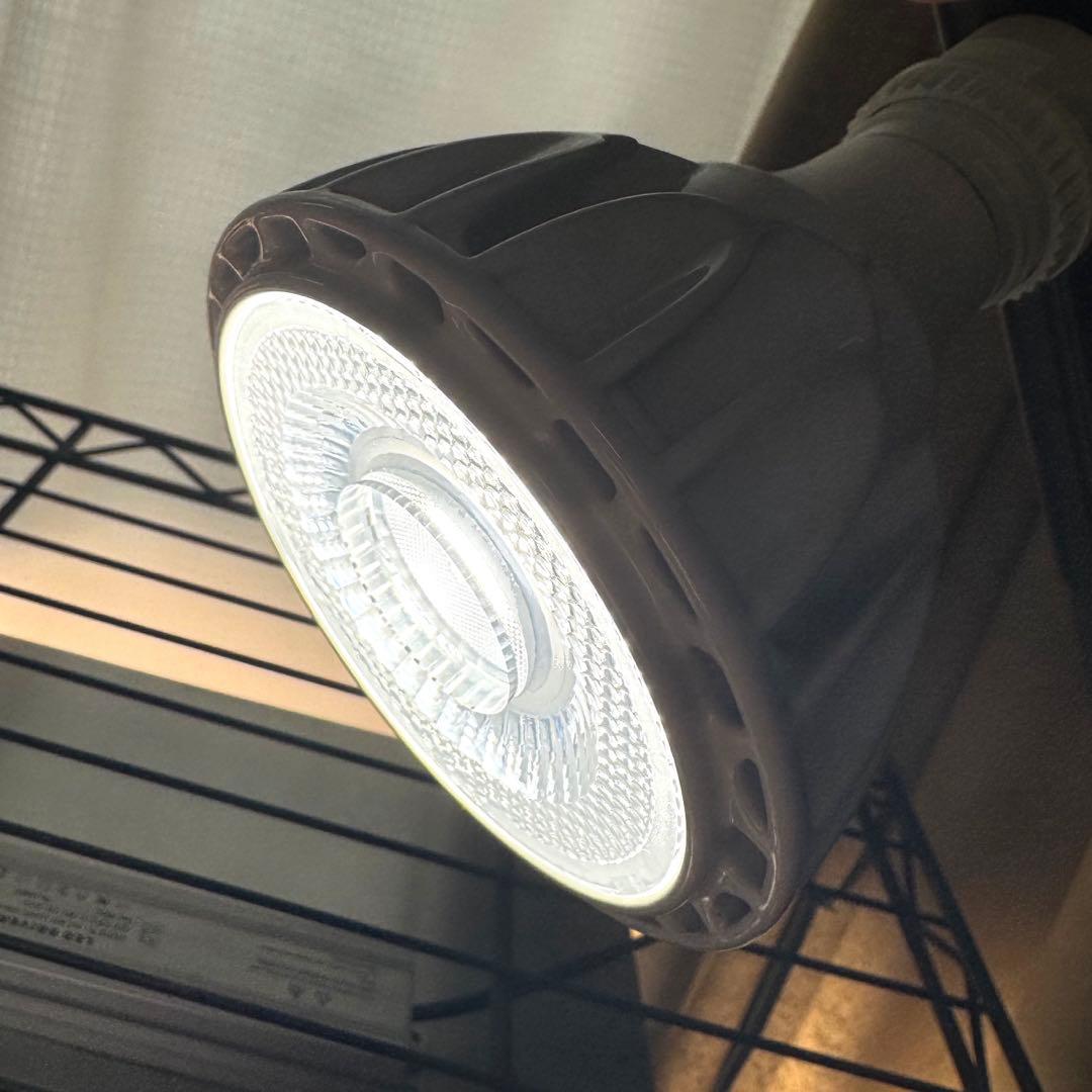 【3個セット】Helios Green ヘリオスグリーン LED ソケット付き