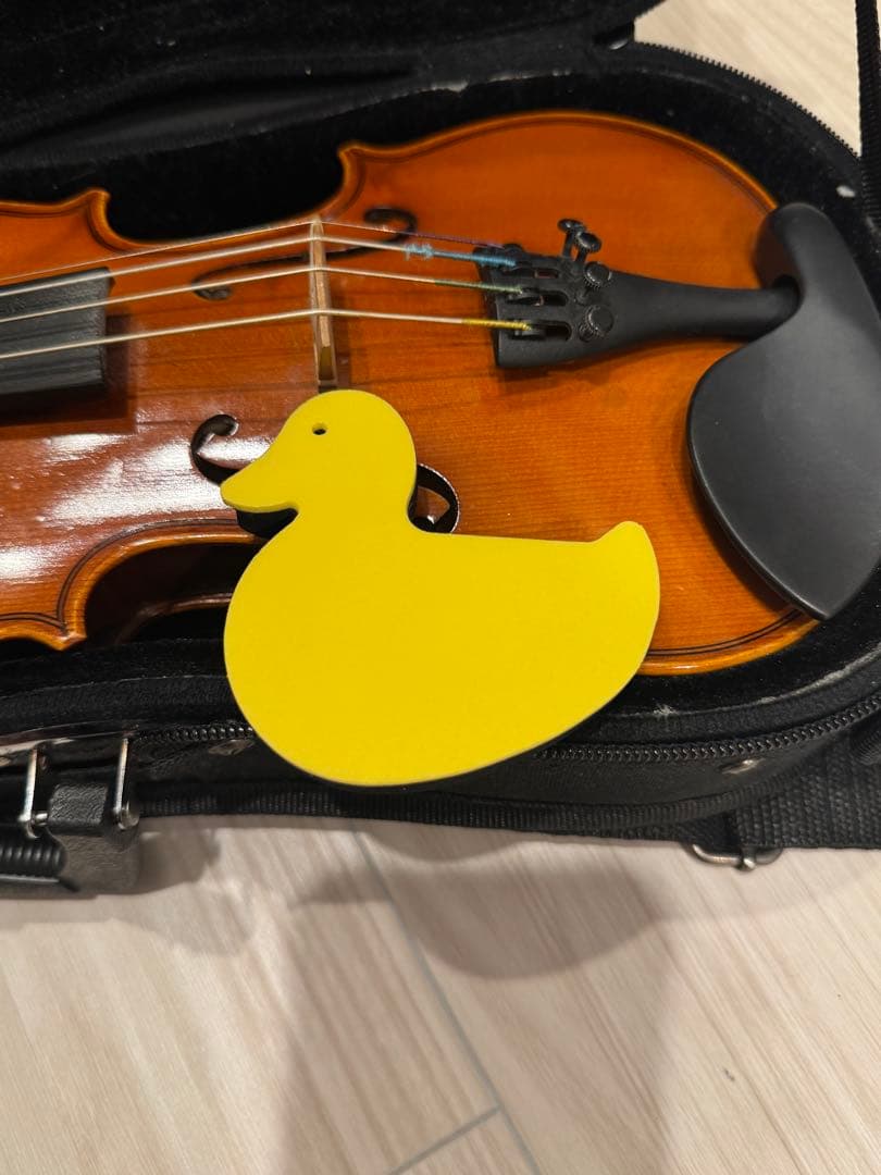 1/8バイオリン EASTMAN VL80 2018年制