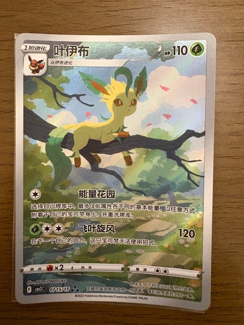 リーフィア AR 中国語版