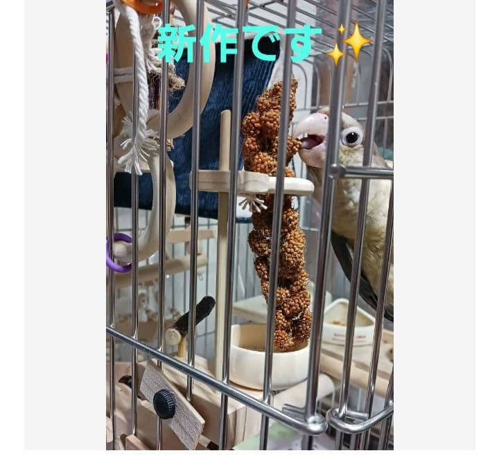 b6　粟の穂専用ホルダーと専用トレー　バードトイ　止まり木　フォージングトイ