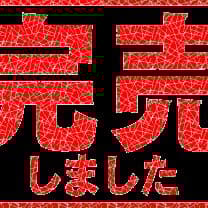 昭和面子メンコ野球 阪神26枚