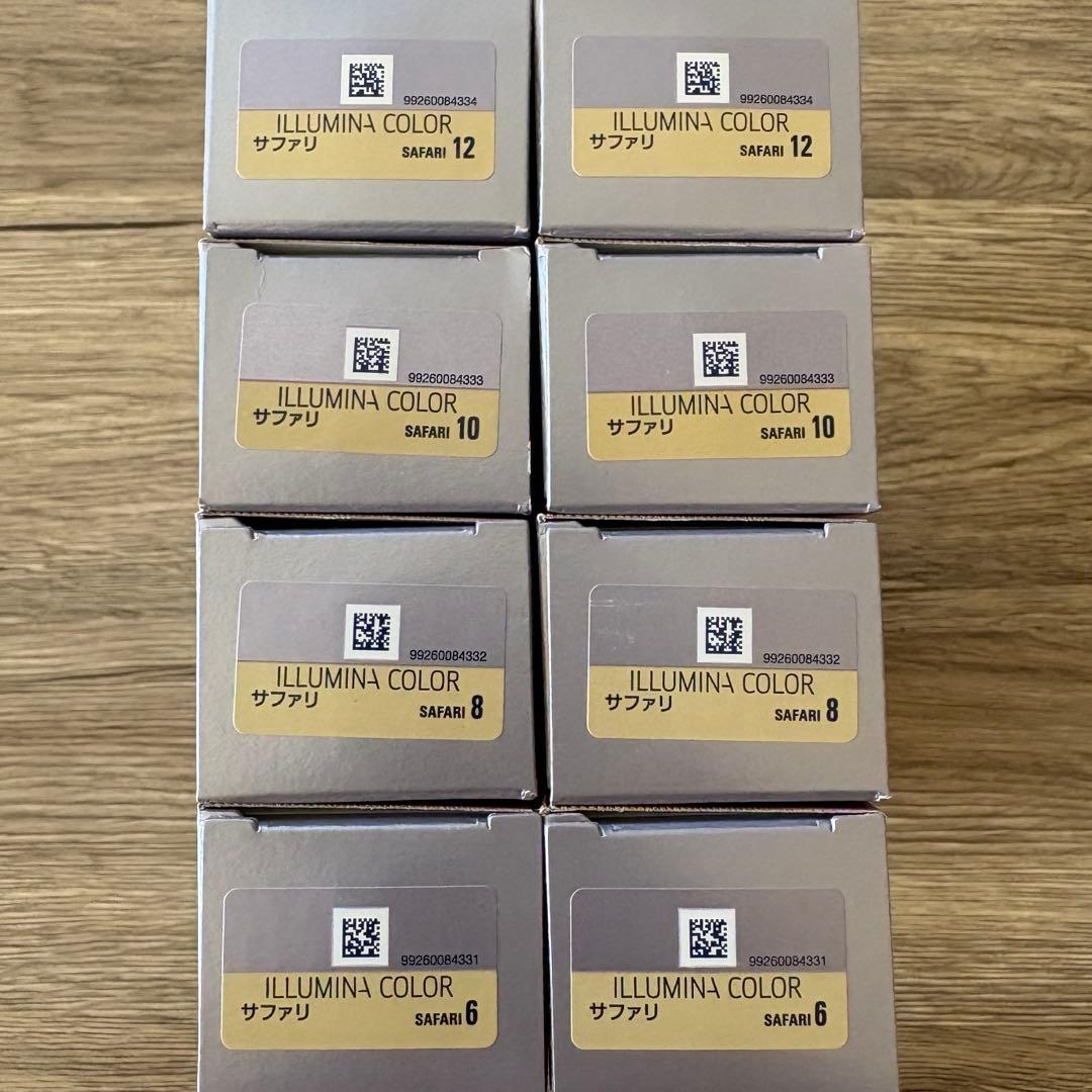 イルミナカラー　サファリ　8本セット