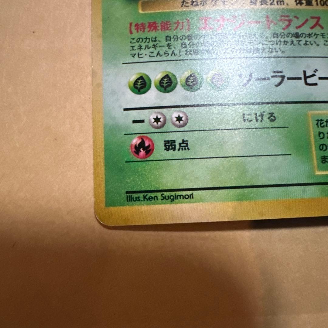 旧裏 フシギバナ カメックス イントロパック