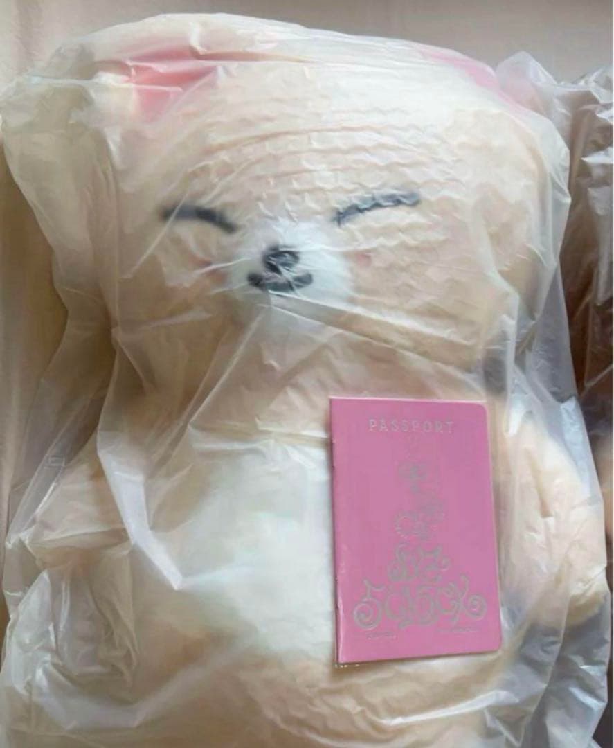 StrayKids スキズ SKZOO テディベア フォクシニー アイエン