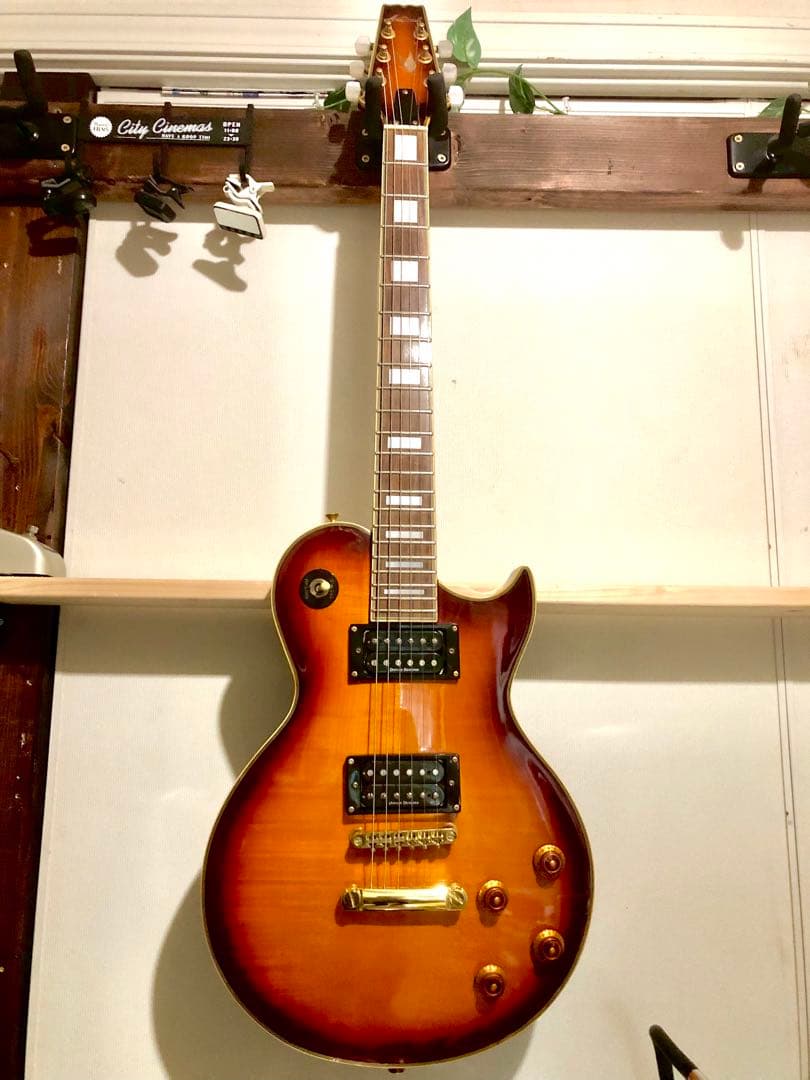 【ハチワレ猫さま専用】AriaProⅡ PE-DLX