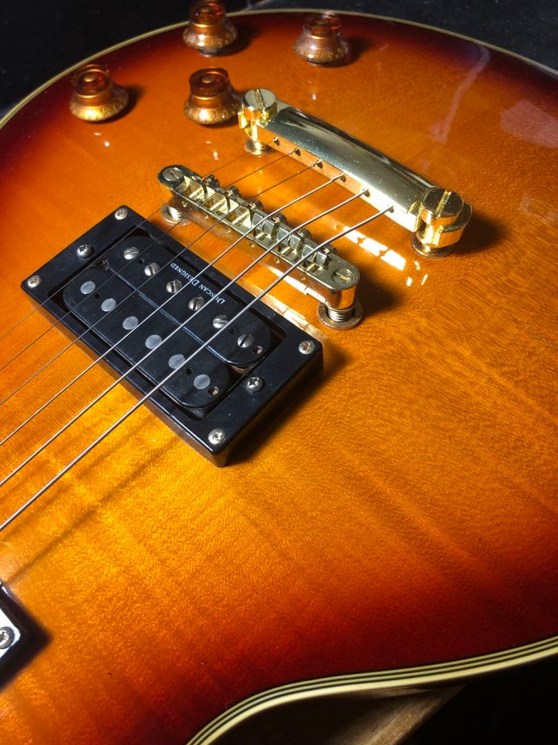 【ハチワレ猫さま専用】AriaProⅡ PE-DLX