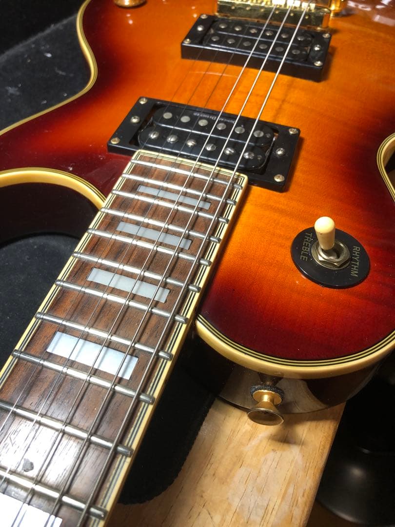 【ハチワレ猫さま専用】AriaProⅡ PE-DLX