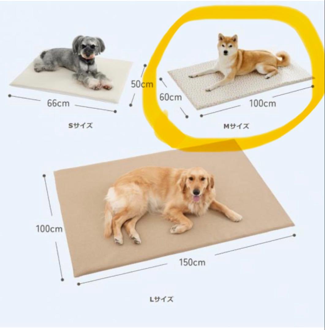 犬用　高反発ベッドクッション　Mサイズ