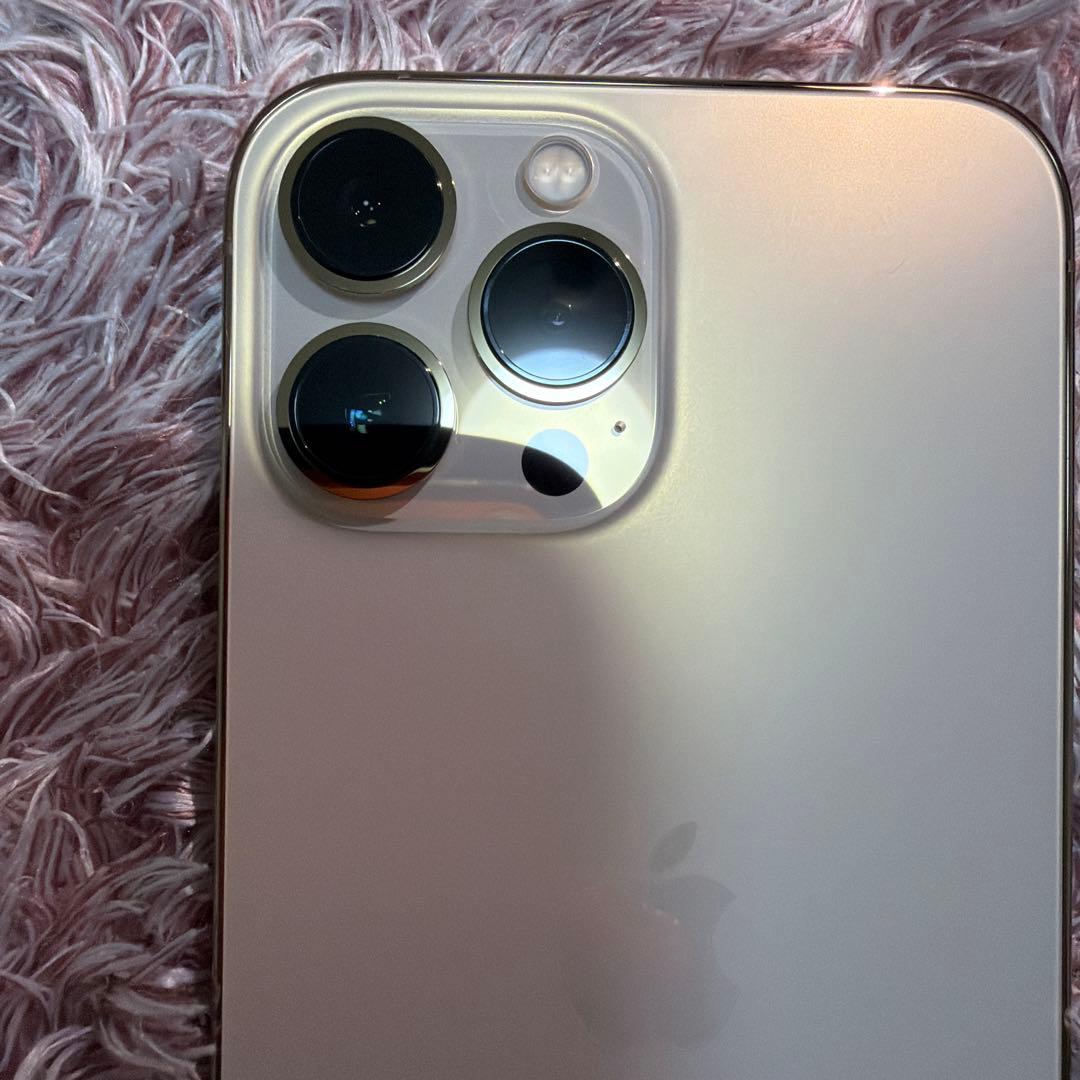 iPhone13ProMax エクスプレス交換品　新品