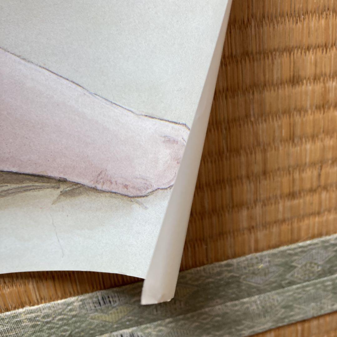 ガンダム　フォウ・ムラサメ　ポスター50×72 newtype86,12月号付録