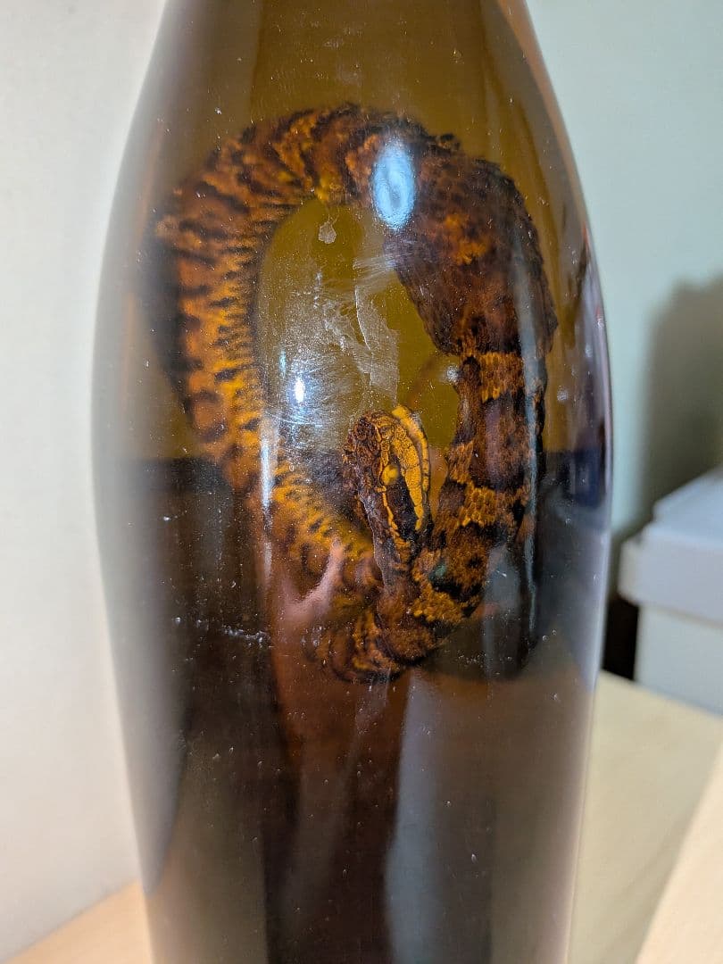 マムシ酒（岐阜県産）