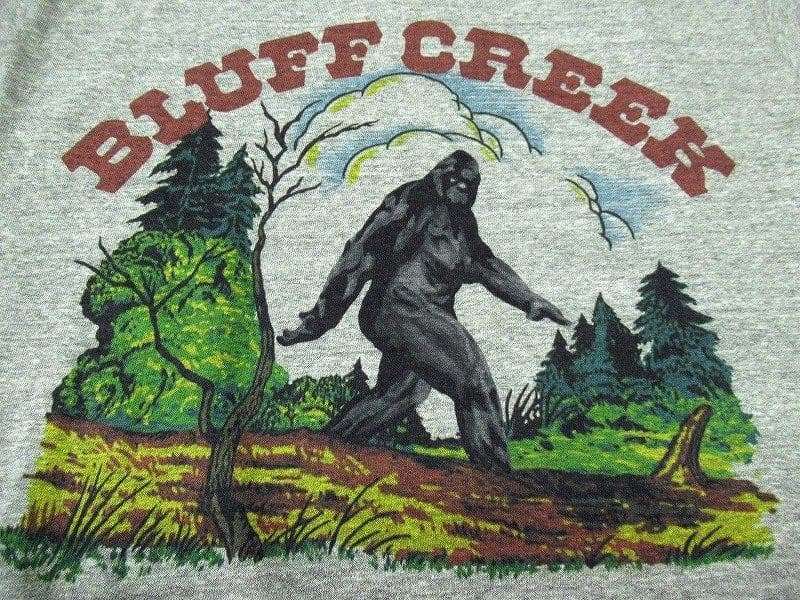 新品 フリーホイーラーズ 半袖 ビッグフット 染み込みプリント Tシャツ グレー