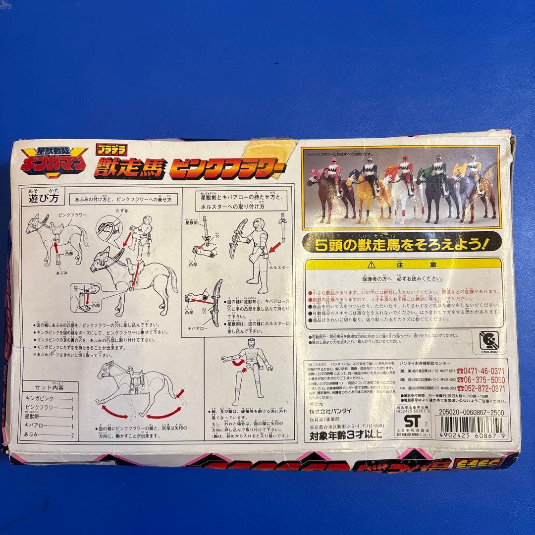 【奇跡の新品未開封】ギンガピンク＆獣走馬ピンクフラワー