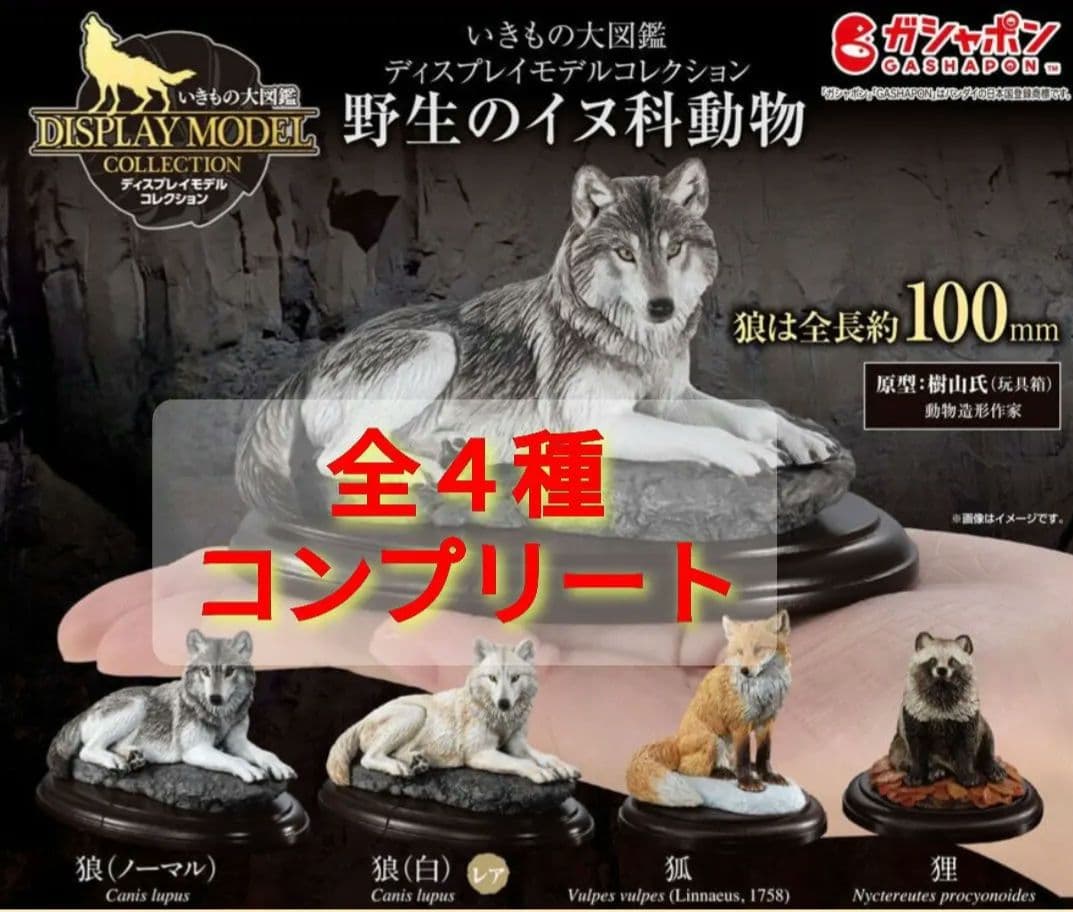 新品未開封 全4種コンプリート 野生のイヌ科動物 いきもの大図鑑