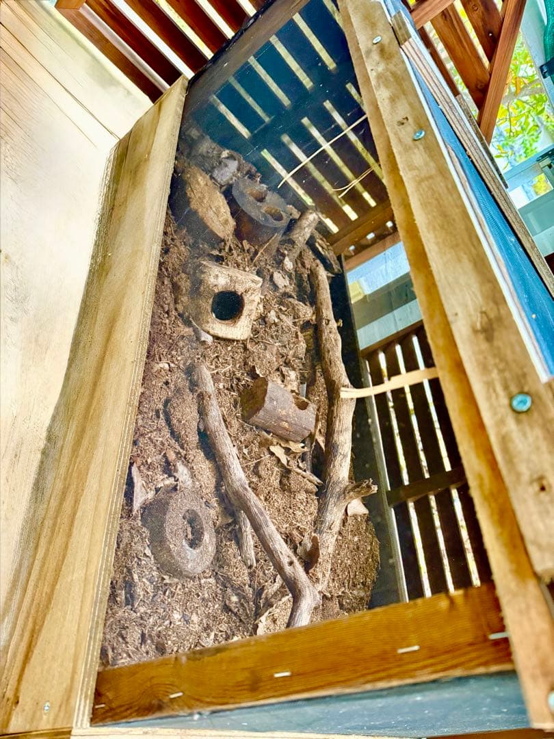 【引き取り限定／奈良近郊】繁殖実績あり｜カブトムシ用 手作り大型飼育ハウス