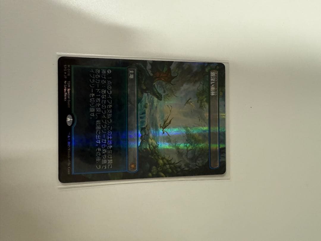 MTG ドラゴンスケイル・Foil 霧深い雨林