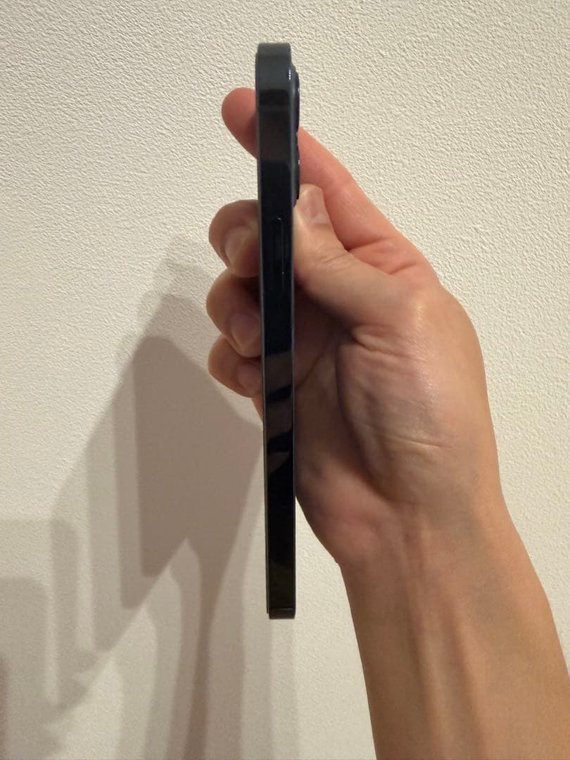 【美品】Apple iPhone12Pro パシフィックブルー SIMフリー