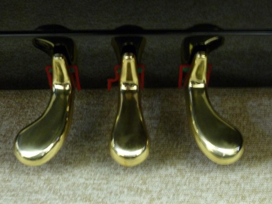 ★★★専門店整備済★シュベスター★No.51★オーバーホール（弦・他全交換）済み