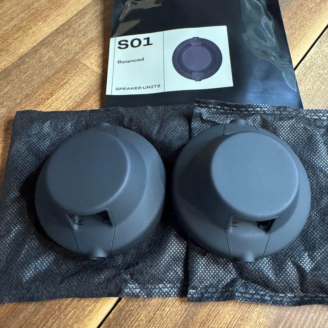 AIAIAI ヘッドホン S01 Nuetral スピーカーユニット　ペア