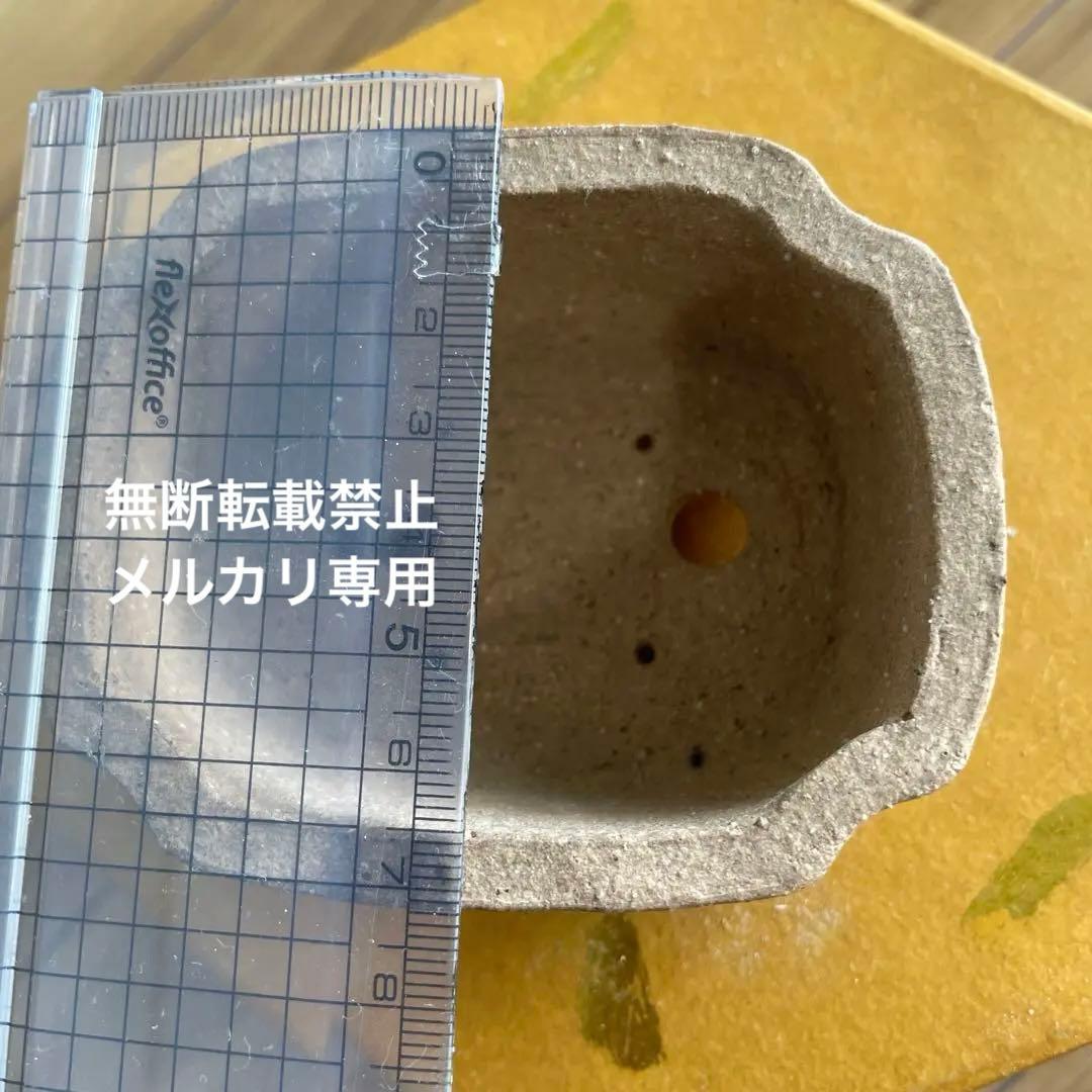 ミニ盆栽鉢　桑津香石　絵鉢　長方形　鳥　小品盆栽