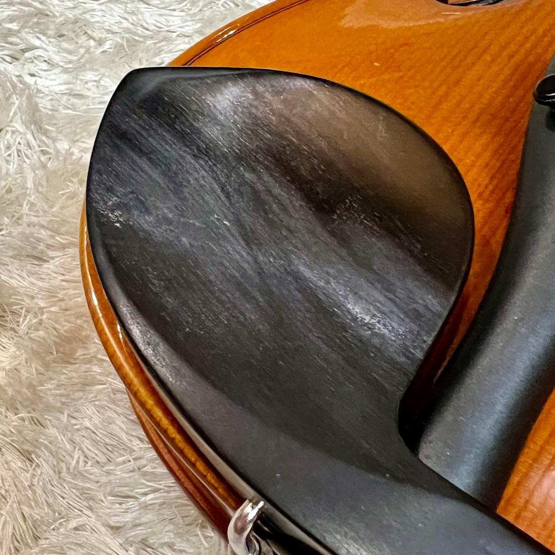 HORA Reghin ヴァイオリン 4/4 バイオリ Carbon Mac