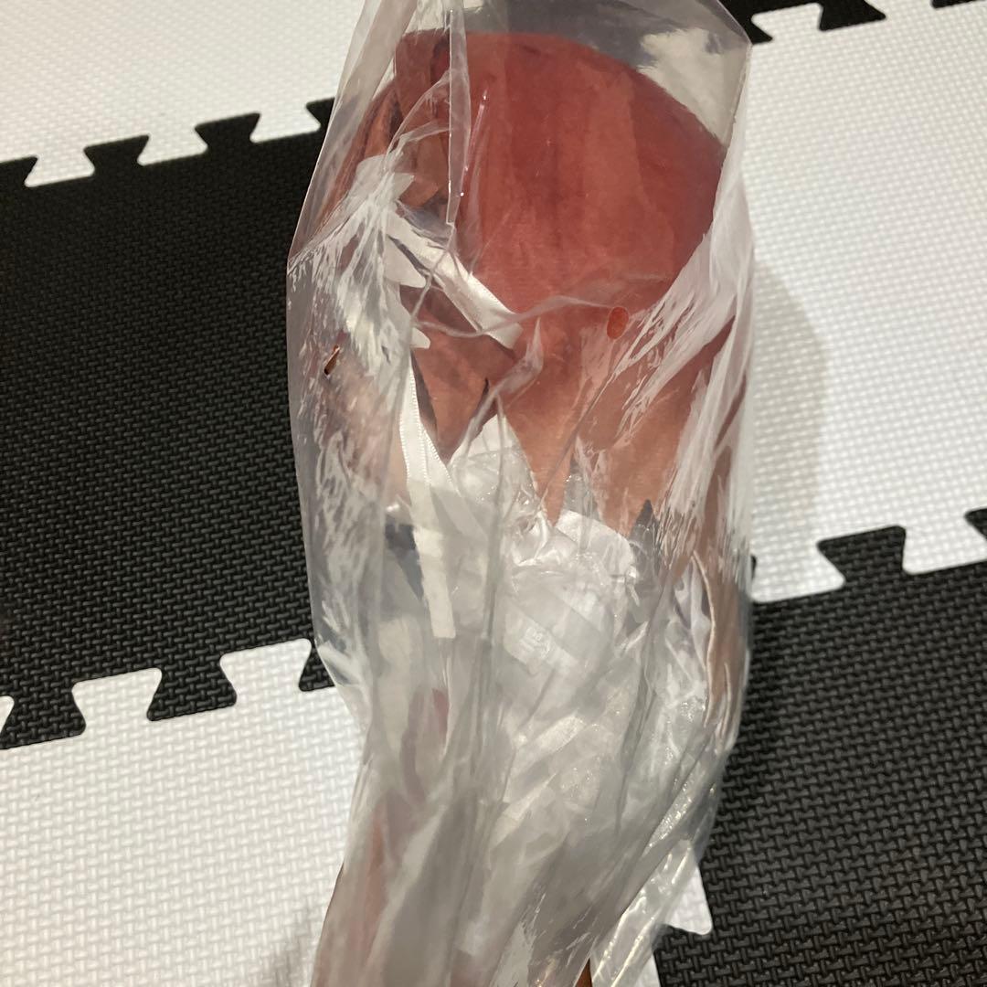 新品未開封 もちほわ 緋田美琴