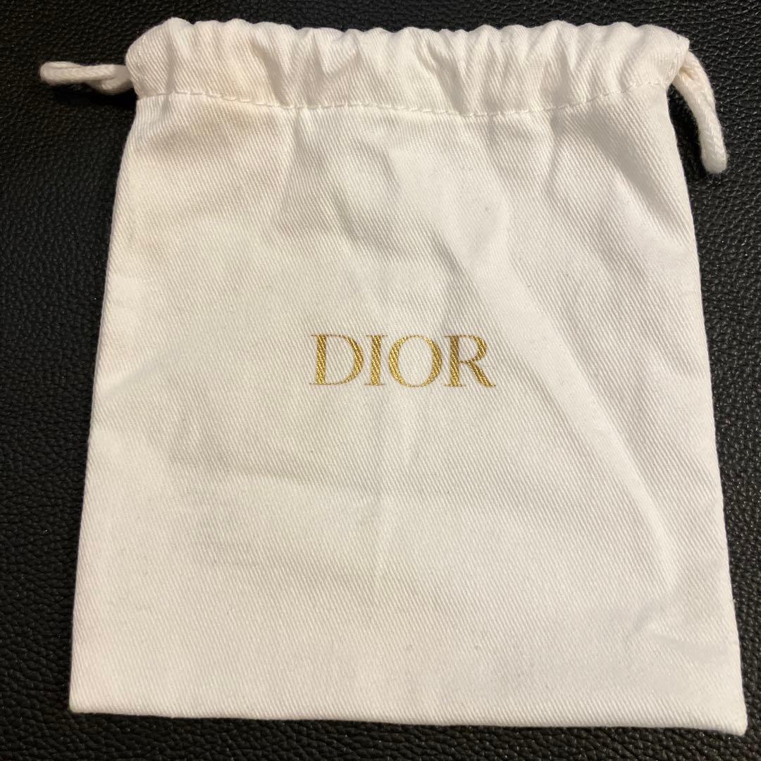 Dior シルバーボールペン ロゴ入り　ショッパー　保存袋付き