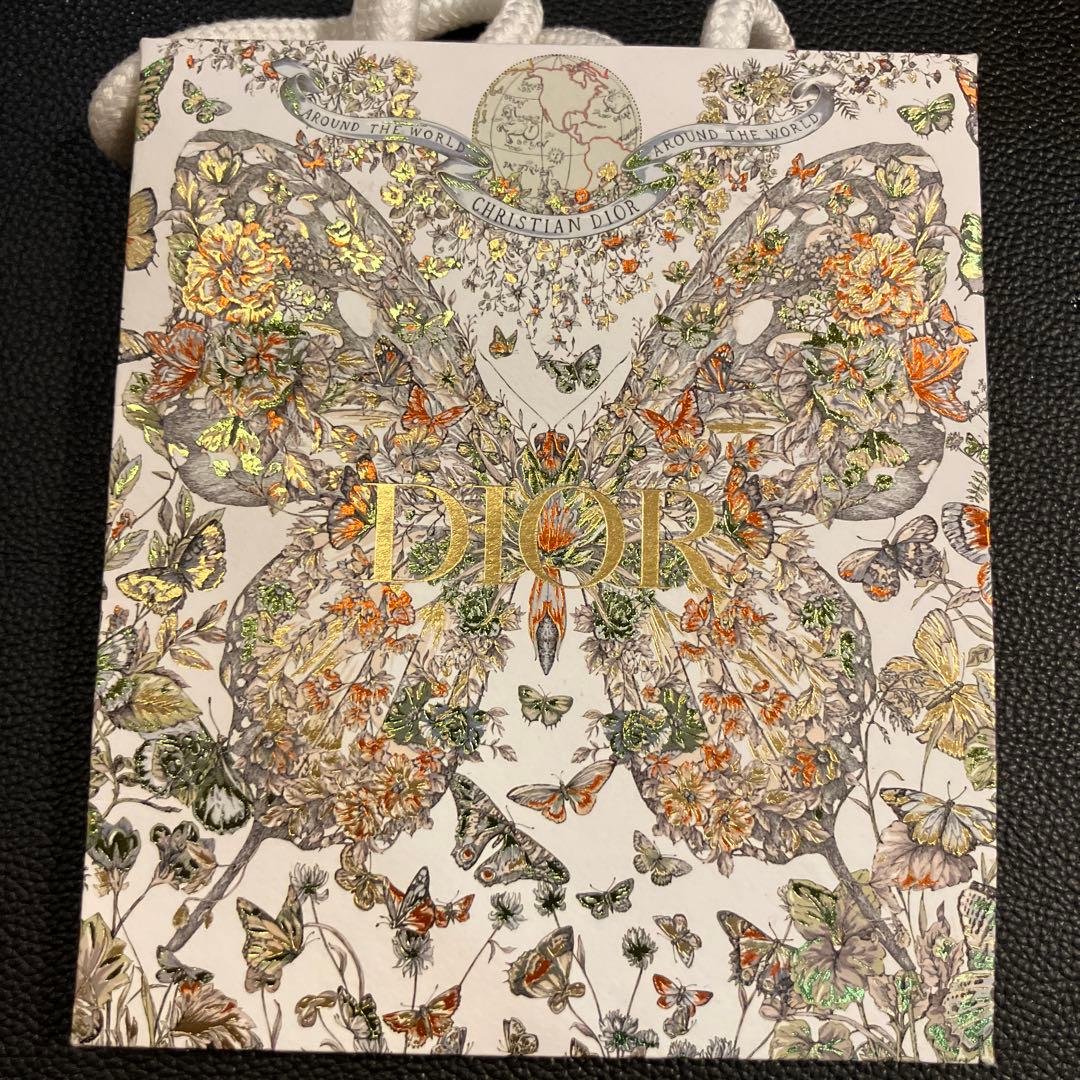 Dior シルバーボールペン ロゴ入り　ショッパー　保存袋付き