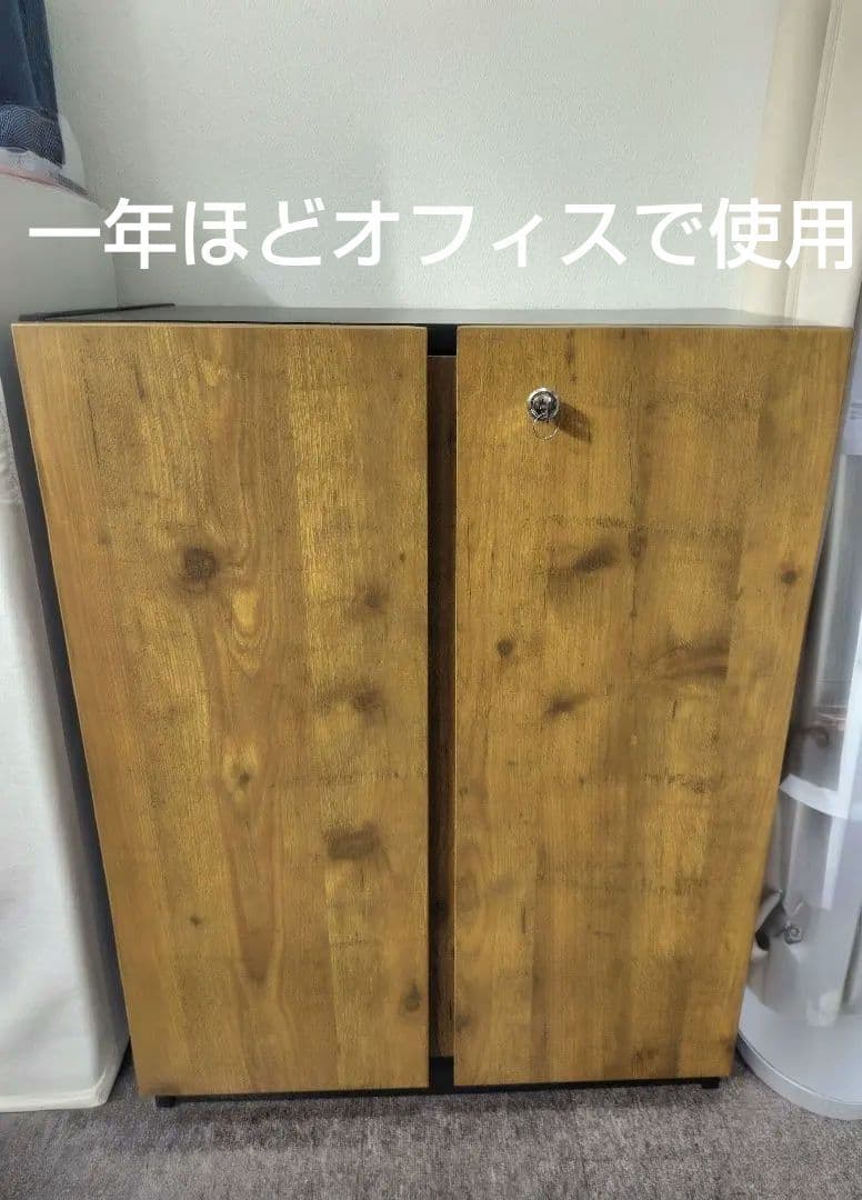 ペスパ2.0 木製キャビネット 2段 扉付き カギ付き ロータイプ　黒