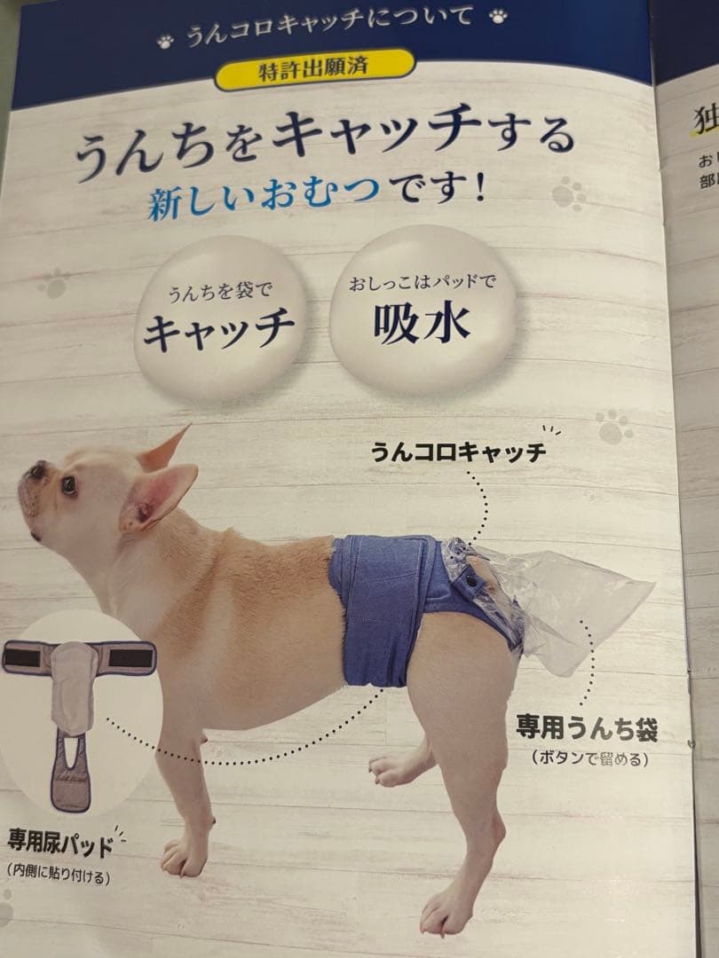 うんコロキャッチXS 新品2枚セット