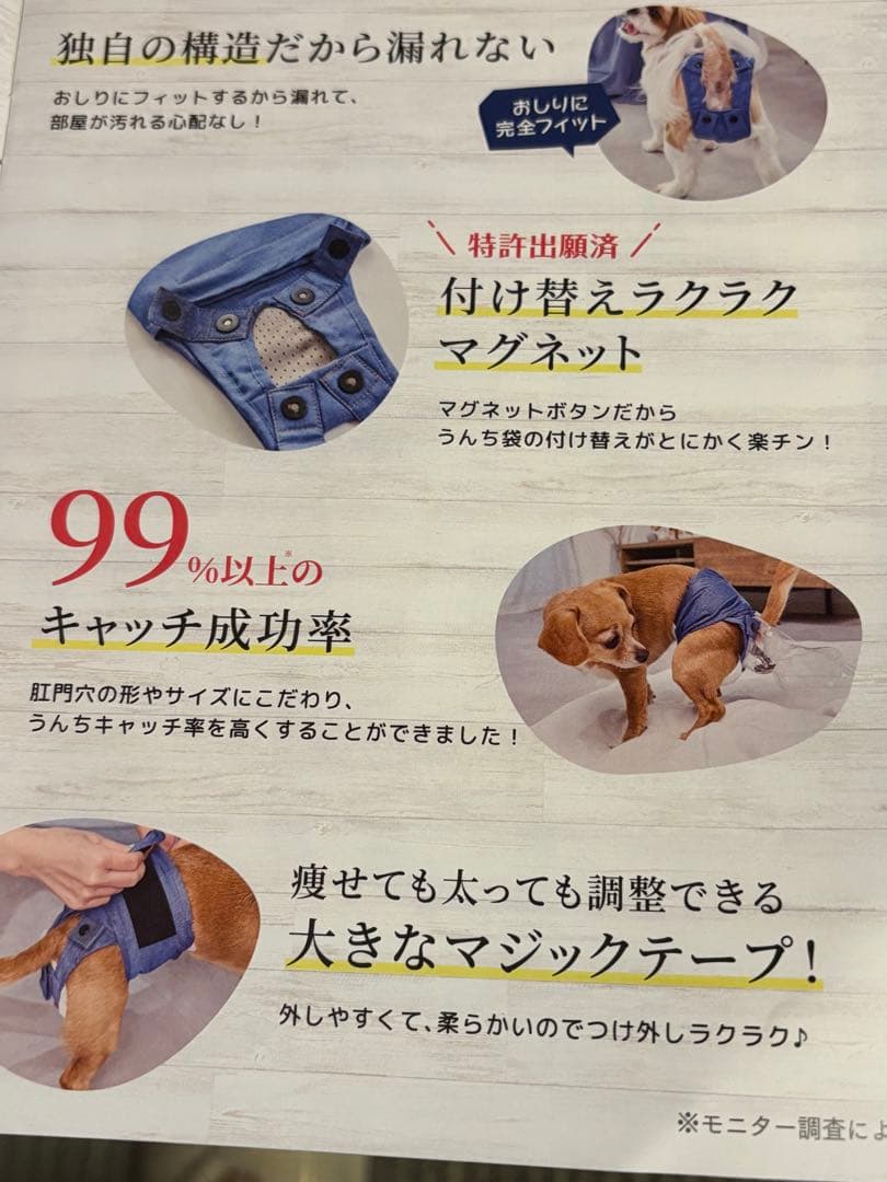 うんコロキャッチXS 新品2枚セット