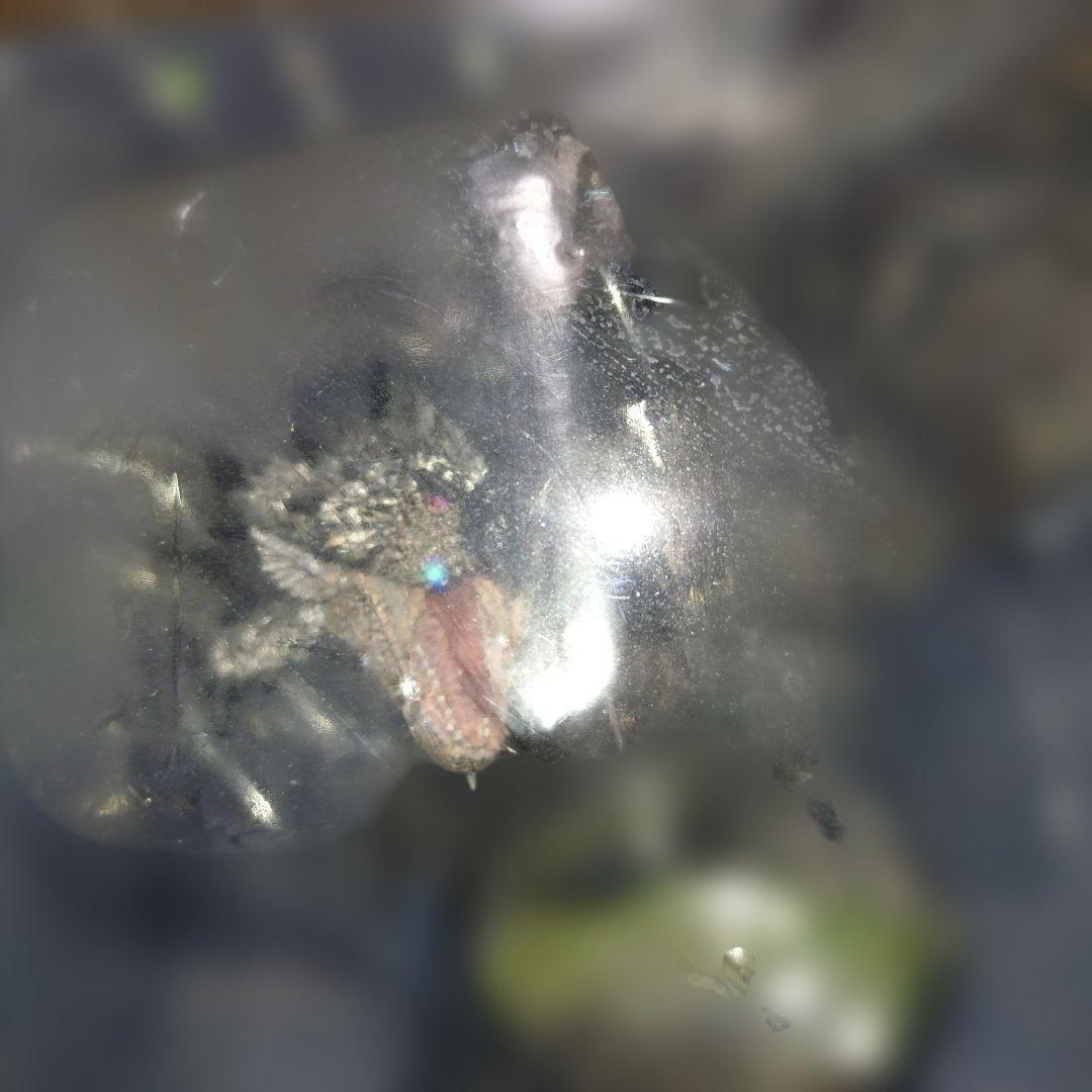 モンスターハンター　リオレウス　 フィギュア　限定版　銀火竜　リオレウス希少種