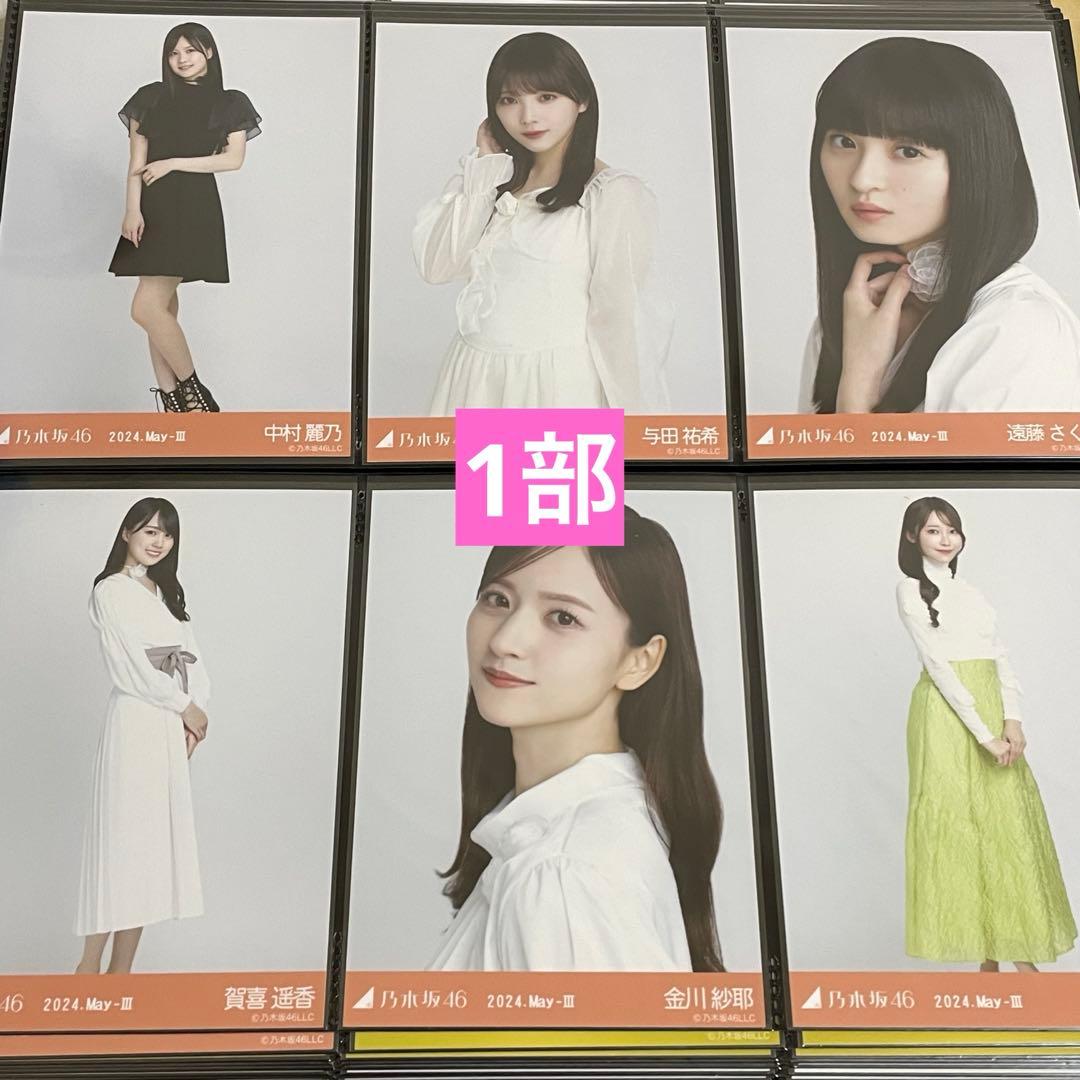 【引退品】 乃木坂46 生写真 まとめ売り 860枚