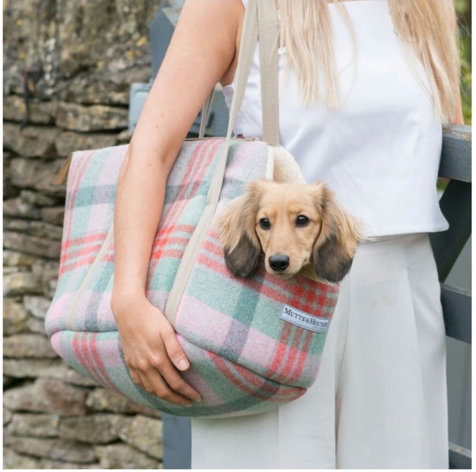 専用です。半額❗Mutts&Hounds3点キャリー(M)、ブランケット、ボーン