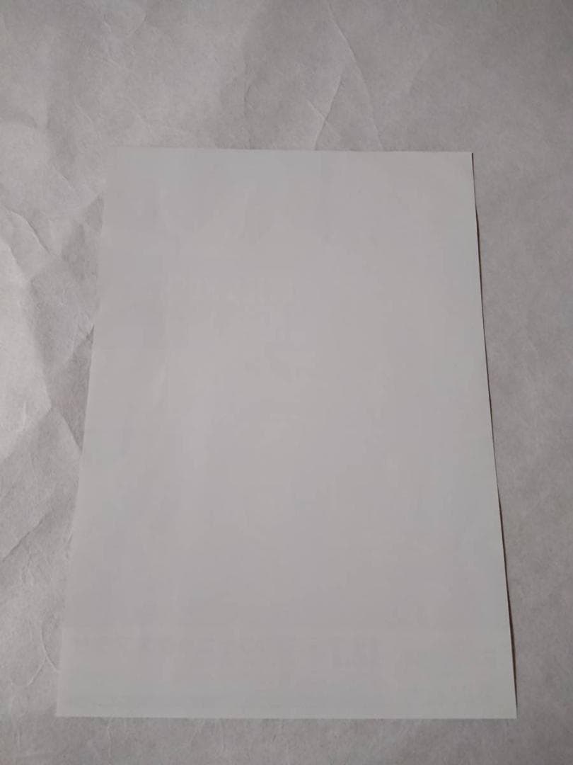 ★矢沢永吉・2011年・福井フェニックスプラザ・B5サイズチラシ