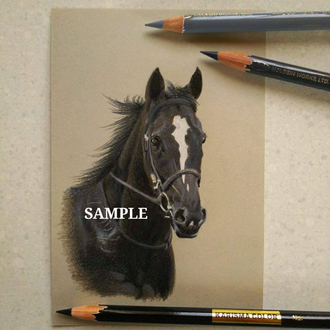 色鉛筆画 原画 ソングライン 手描き イラスト No.39 馬