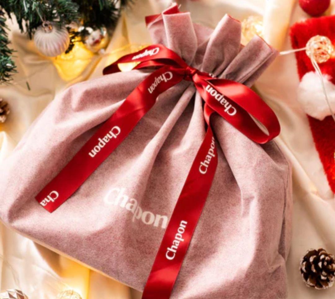 純正スタンド無料Dyson 純正品動作確認済ｖ11スティッククリーナー 本体