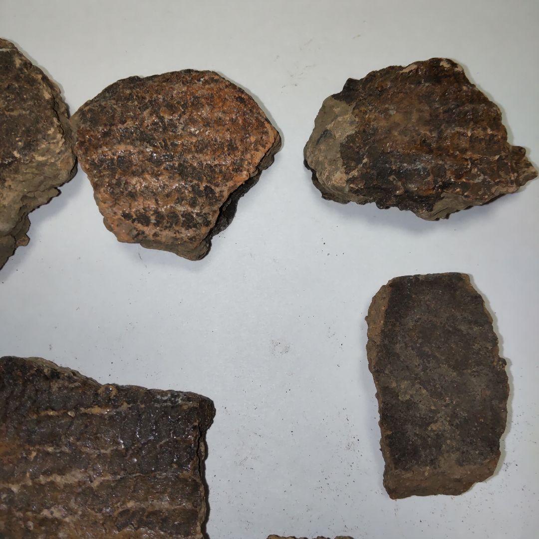 ★本物の縄文土器★(新潟県出土)①、15点